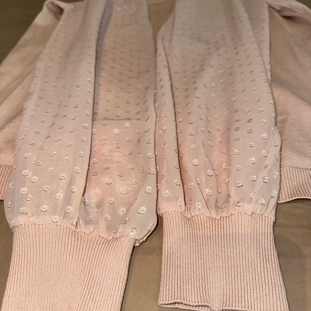 Adrianna Papell Blush Knit Top